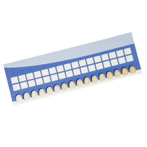 Disposable Paper Tooth Shade Chart - TheWhiteningStore.com